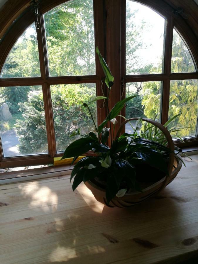 Bella Bed&Breakfast Stevns Arnoje Esterno foto