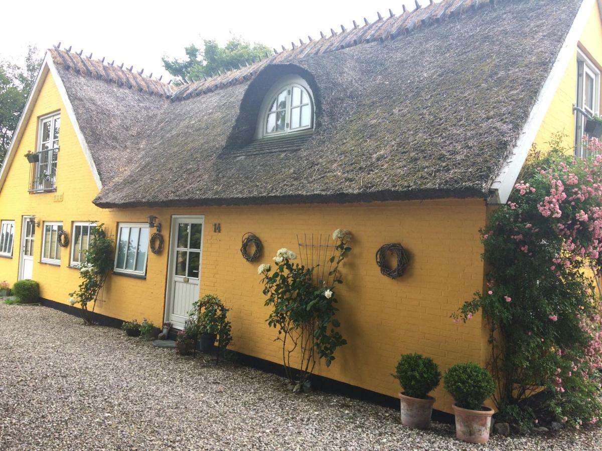 Bella Bed&Breakfast Stevns Arnoje Esterno foto